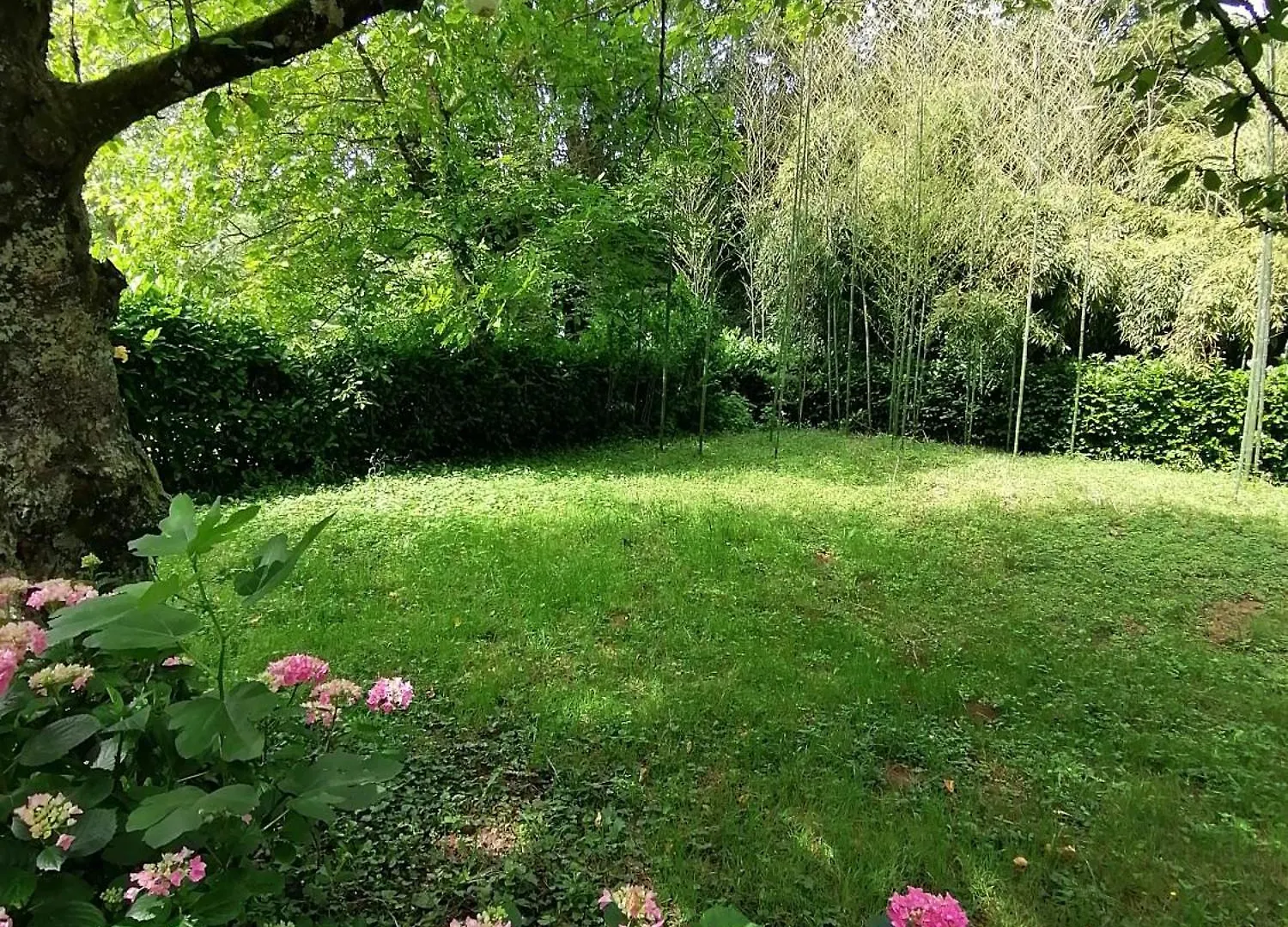 Hébergement de vacances Entre rivière&bambous / Vue rivière / Parc arboré Saint-Juery  France